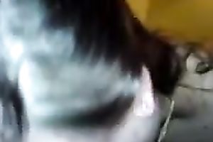 Busty lascivious non-professional casual honey provided me with a indeed good BJ