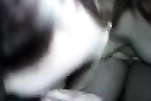 Busty lascivious non-professional casual honey provided me with a indeed good BJ