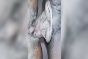 Lewd amateur dark nympho with biggest booty took my friend's knob in cookie