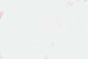 Sweet cute and sexy lady receives lewd and flashes her curves on livecam