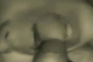 A nice sex with horny British legal age teenager on home sex clip