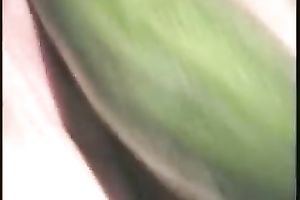 Wet and hairless pink vagina with a smooth fresh cucumber