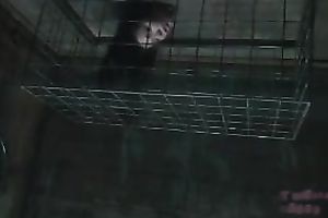 Buxom serf gets her backdoor worked over during her BDSM session