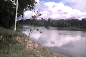 Sexy and perverted honey got her constricted and wet pussy gangbanged hard