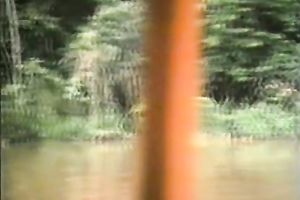 Sexy and perverted honey got her constricted and wet pussy gangbanged hard