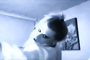 Kinky hilarious and pleased golden-haired playgirl showed me her worthwhile rounded ass