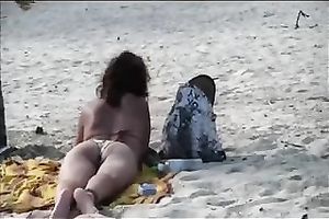 Beautiful diminutive dark brown on the beach attracts my attention