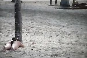 Beautiful diminutive dark brown on the beach attracts my attention