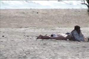 Beautiful diminutive dark brown on the beach attracts my attention