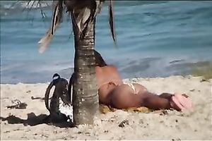 Beautiful diminutive dark brown on the beach attracts my attention