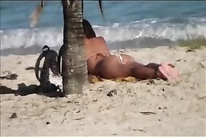 Beautiful diminutive dark brown on the beach attracts my attention