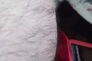 Lewd blindfolded exceedingly corpulent dark slut was blowing and stroking wang