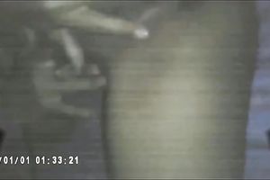 Watched her solo session and actually enjoyed each single minute of it