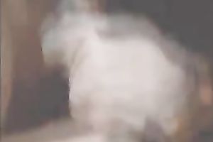 Curly haired brunette hair mama sucked my cock in far 1987