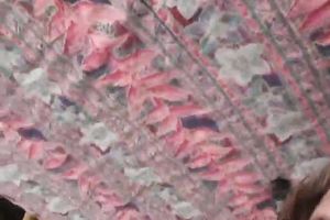 Kinky non-professional GF called Barbara want to blow her BF's corpulent rock hard cock