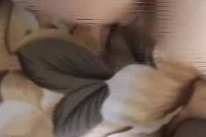 My knob loving girlfriend Diana is a freak in the bedroom