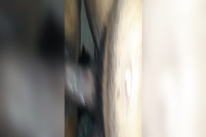 Strong dark dong permeated hungry cooch of lusty whorable wifey