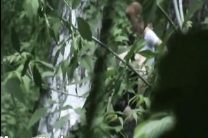 Blonde white Russian housewife in the high grass squats and piddles