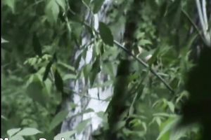 Blonde white Russian housewife in the high grass squats and piddles