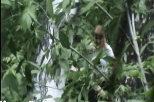 Blonde white Russian housewife in the high grass squats and piddles