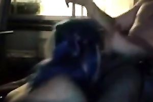 Blue haired floozy engulfing my weenie deepthroat in dilettante movie