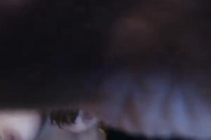 Insatiable mother I'd like to fuck riding large sex toy in dilettante episode