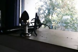 Masked manacled plump doxy with massive boobies masturbated herself on bench