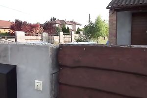 Sweet sunbathing brunette hair honey wants to blow agreeable prick of my buddy