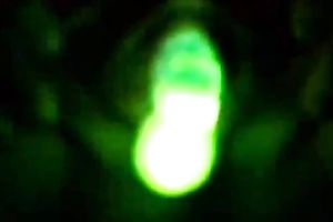 Wicked white girlfriend stuffs glowing bottle in her slit