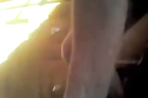 Amateur short haired a bit plump web camera slut is screwed from behind
