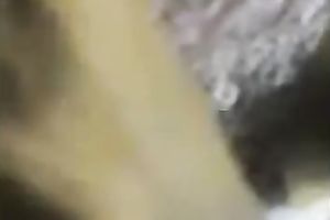 Busty Sika Indian prostitute strokes penis of a customer