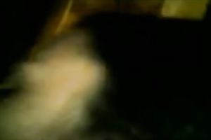 Mulatto Married slut takes rod unfathomable face hole and licks it well