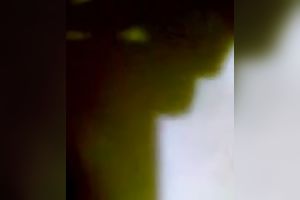 Cute Northindian wifey desires to be fed with a jock