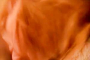 Full bosomed red head rapacious sex pot gives hardcore cock engulf