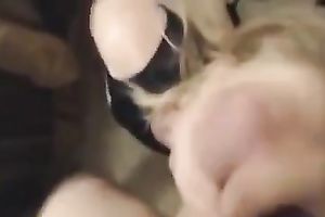 Hungry blond legal age teenager playgirl sucks a schlong on POV dilettante vid
