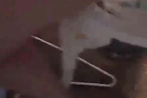 Beautiful and hot golden-haired legal age teenager squeezes her cute milk cans on the livecam