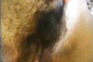 Extravagant LAtina girlfriend shows off her hairy fur pie and armpits