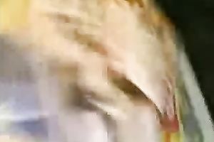 Banging glamorous Malay girl in a missionary position