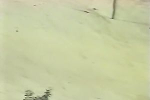 Slutty and perverted golden-haired sweetheart got her cunt team-fucked hard