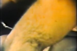 Kinky and excited hottie got her snatch team-fucked truly hard