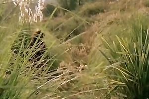 Well shaped hot women with ravishing Mamillas rest in ottoman and tempt every other