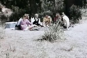 Incredible inviting golden-haired sweetheart has great sex outdoors