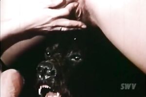 Raven haired feverish doxies enjoy beefy love tunnel eating