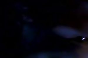 Fat and overweight honey who is my freind engulfing my shlong