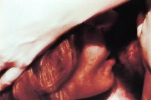 Cute and lovely pale skin redhead chicks in softcore action