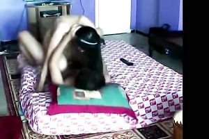 Lovely Delhi punjabi slutwife engulfing and fucking her lover