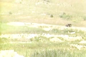 Beautiful and sassy classic hotties with large love muffins exposed cuddling