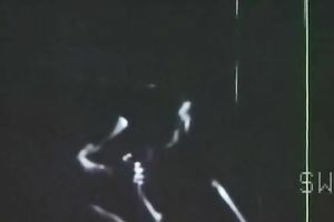 Hot bronze skin white hottie in romantic vehement action of sex