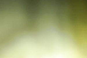 I gangbanged chubby casual BBC slut missionary style on my camera