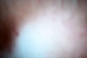 A good oral pleasure sex foreplay is the most excellent way to begin the day